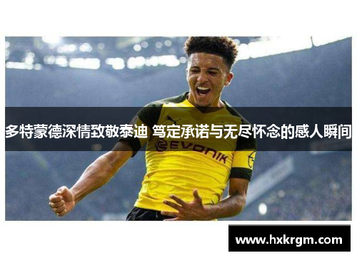 多特蒙德深情致敬泰迪 笃定承诺与无尽怀念的感人瞬间